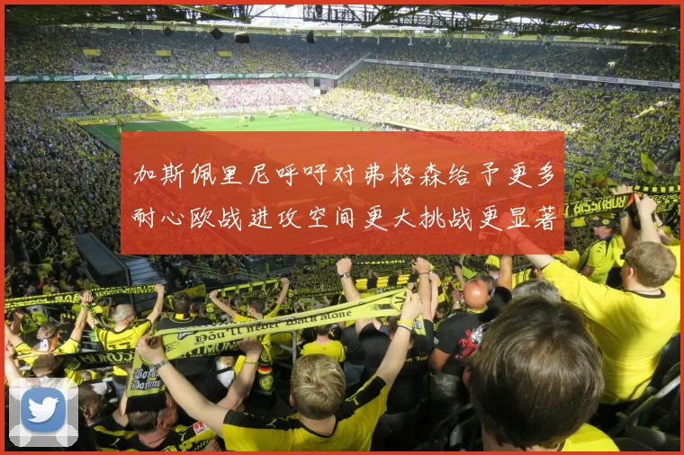 加斯佩里尼呼吁对弗格森给予更多耐心欧战进攻空间更大挑战更显著