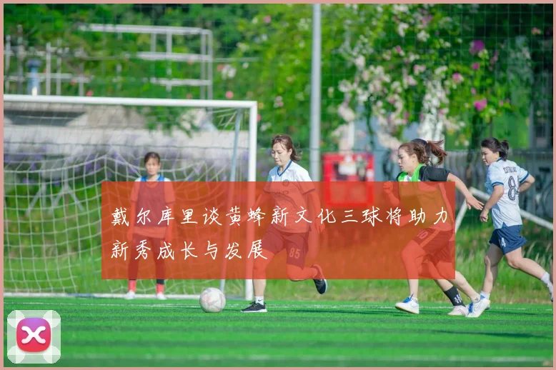 戴尔库里谈黄蜂新文化三球将助力新秀成长与发展
