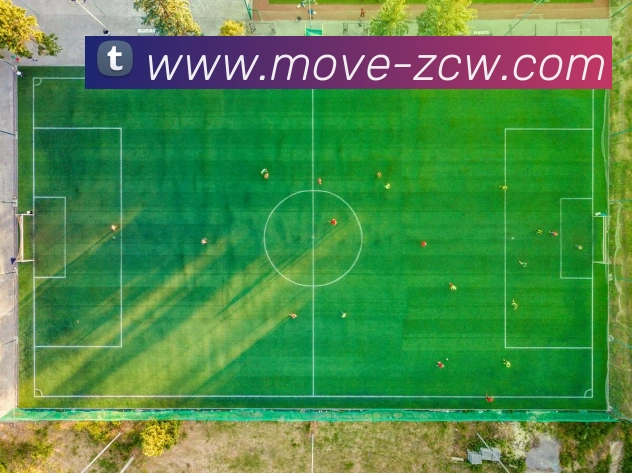 足彩网平台生态图